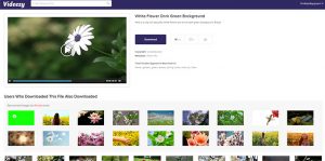 ۴k-video-dounload-free-3