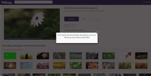 ۴k-video-dounload-free-4